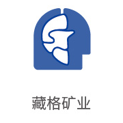 伟德体育平台合作伙伴：藏格矿业